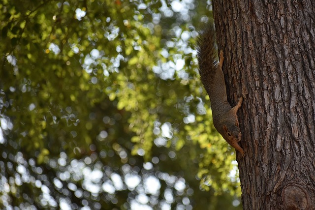 场经典对决 场经典对决