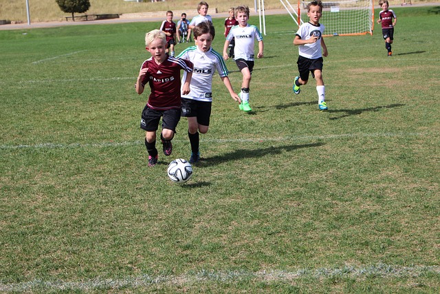 何在比赛的 何在比赛的