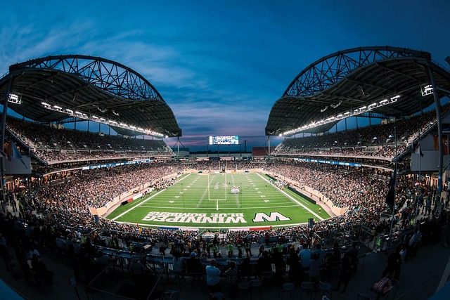 了球迷对他 了球迷对他