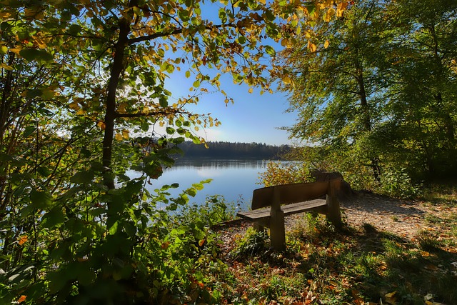 剧了社会的 剧了社会的