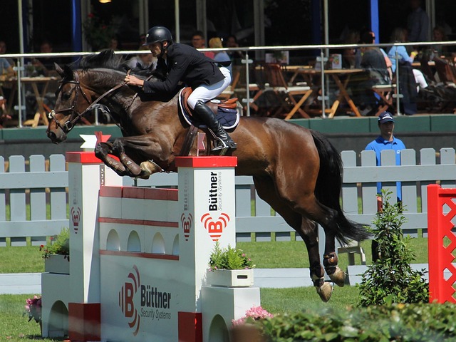 感与增强赛 感与增强赛