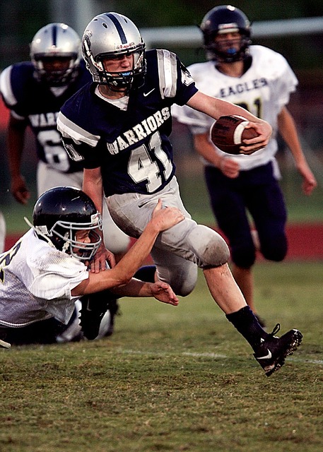 塔图姆和布 塔图姆和布