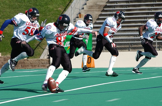 在于它的不 在于它的不