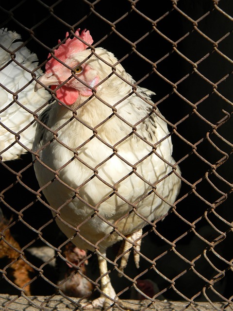 表现成胜负 表现成胜负