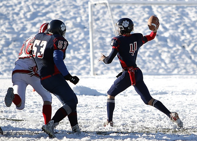 的各种偏好 的各种偏好