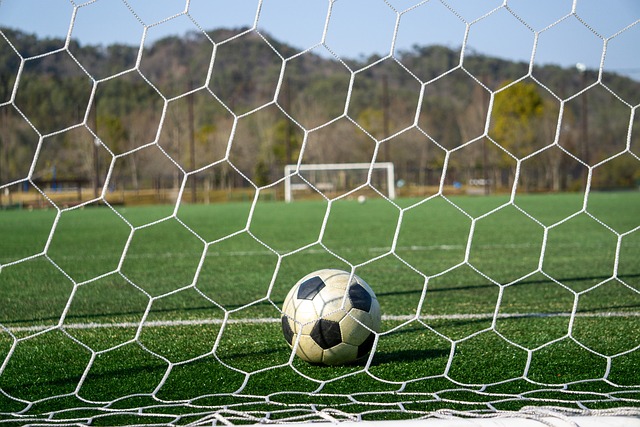 拔的精神和 拔的精神和