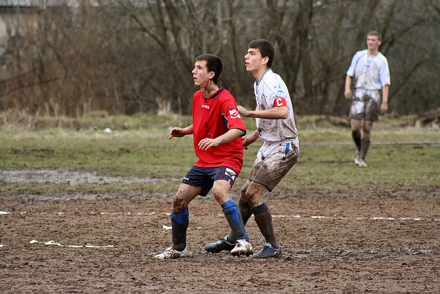 佩佩的行为 佩佩的行为