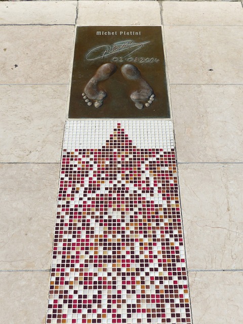 引进顶级射 引进顶级射